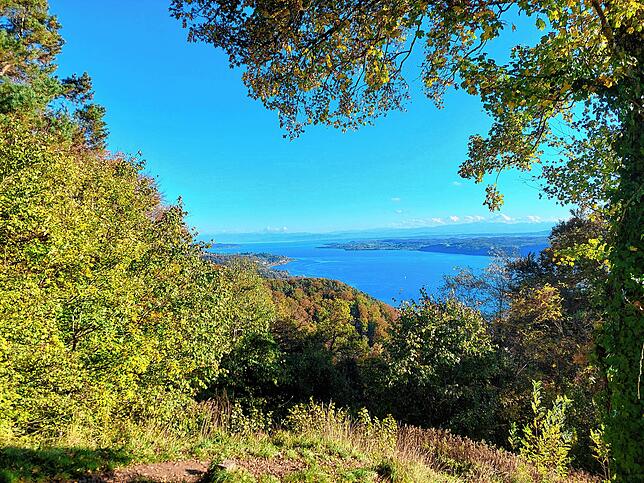 Aufgenommen vom Haldenhof mit Blick auf den Bodensee oberhalb von Sipplingen und im Hintergrund der Bodanrück, die Alpen und die Insel ...