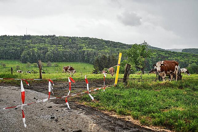 Bild 2: Die Kunst des Abriegelns: Was der Fotograf Jan Sulzer während des Lockdowns an den Grenzübergängen von Basel bis ins Thurgau erlebte