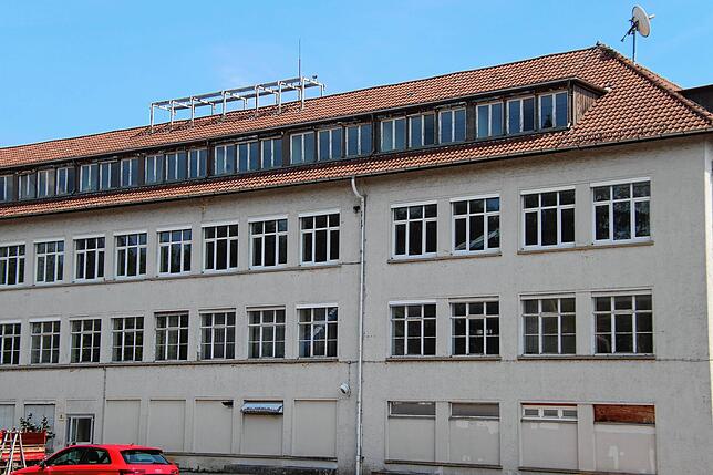 Wie abrasiert. Die Saba oben ohne.