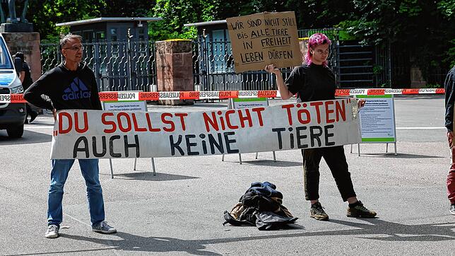 „Du sollst nicht töten“: Tierschützer protestieren vor dem Tiergarten Nürnberg gegen die Tötung der Paviane. Sie stehen Zoos generell ...