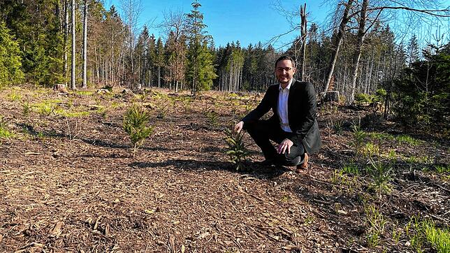 In Hohenfels wurden im Rahmen der Aktion &bdquo;1000 Bäume für 1000 Kommunen&ldquo; 4000 neue Bäume gepflanzt. Einen Teil davon zeigt ...