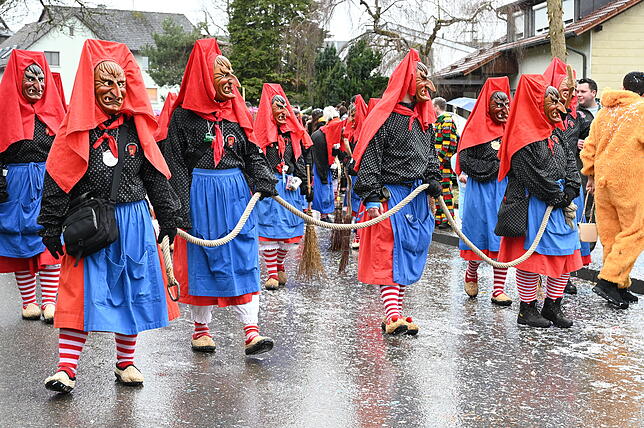 Bild 22: Die schönsten Bilder vom Fasnachtsumzug in Schwerzen: So feiern die Narren trotz Nieselregen
