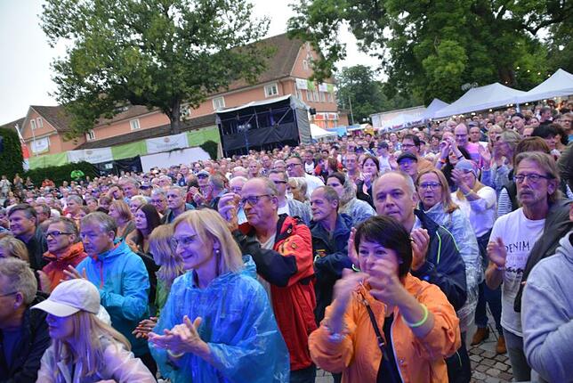 Bild 32: Das Sommersinnfonie-Konzert mit den The Dire Straits Experience in Bildern