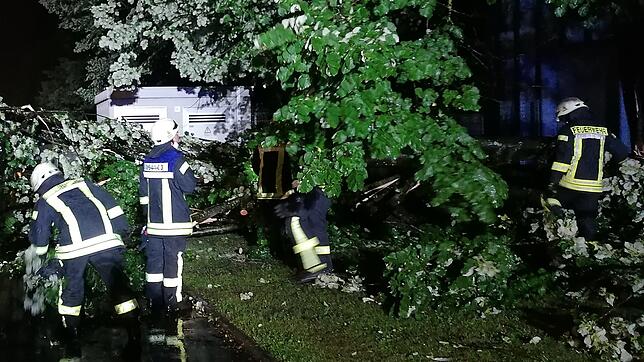Die Feuerwehr Konstanz im Einsatz: Das Gewitter Ende Juni brachte einen Baum im Konstanzer Industriegebiet zum Umstürzen, er landete auf ...