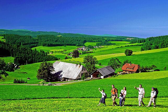 Der Feldberg – der höchste Punkt des Schwarzwaldes.