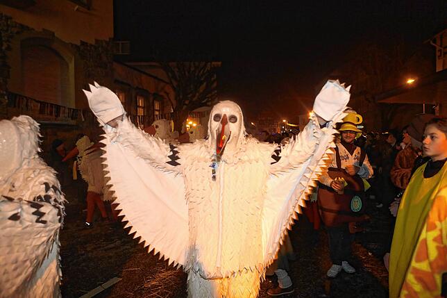 Bild 11: Die schönsten Bilder des Nachtumzugs in Gottmadingen Teil 2