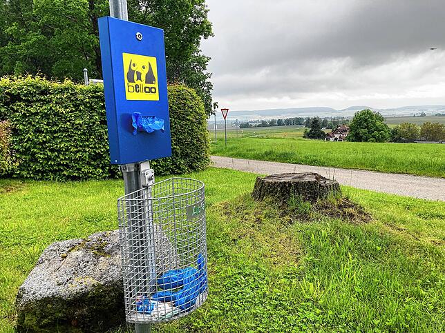 Hundebesitzer geraten auch bei längerem Zuschauen nicht in Nöte.