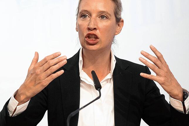 Die Bundesprecherin der Alternative für Deutschland (AfD) Alice Weidel bei einem Auftritt mit der rechtspopulistischen FPÖ in Wien.