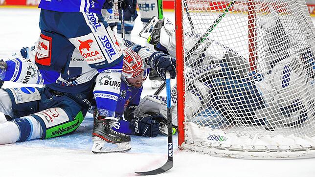 Mit seinem Treffer zum 3:0 stellte Tylor Spink (am Boden) die Weichen auf Sieg für die Wild Wings. Nach der Schlusssirene mochte sich ...