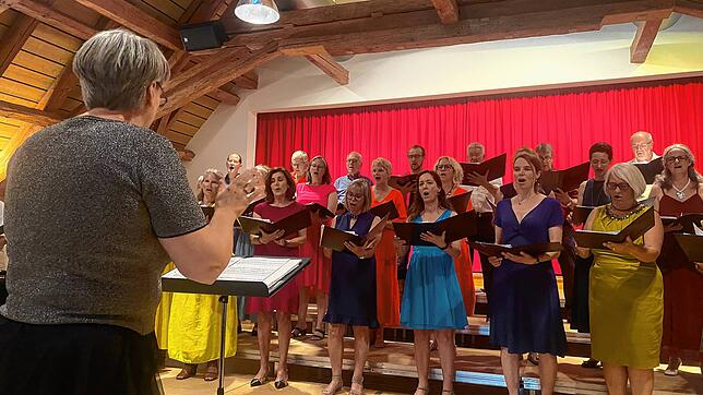 22 Frauen und sieben Männer singen im Gemischten Chor Heiligenberg. Bei ihrem Sommerkonzert singen sie Lieder von Abba bis Frank ...