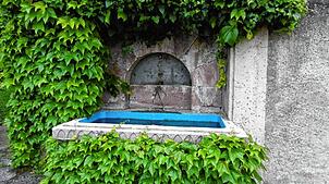 Von Weinlaub umrankt ist Grenzachs wahrscheinlich ältester Dorfbrunnen. Ist es das Hornbrünnlein? Bild: Helmut Bauckner