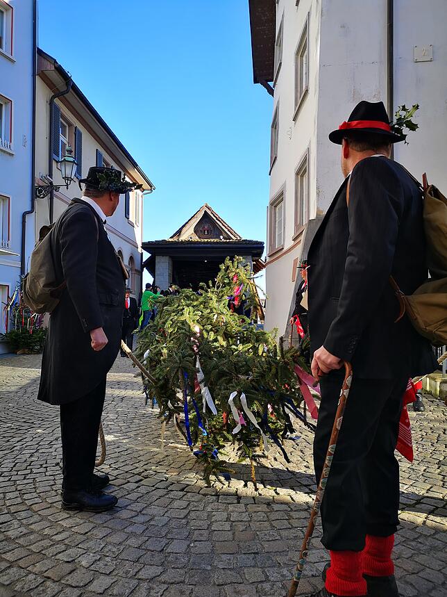 Bild 12: Musik, gute Stimmung und Tradition: Bilder vom Wäldertag in Bad Säckingen