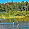 Freizeitbetrieb am Abend. Am Mittwoch, 28. August, ist am Hüfinger Riedsee viel los. Ob dieser Teil der Riedseen zum Badesee erhoben ...