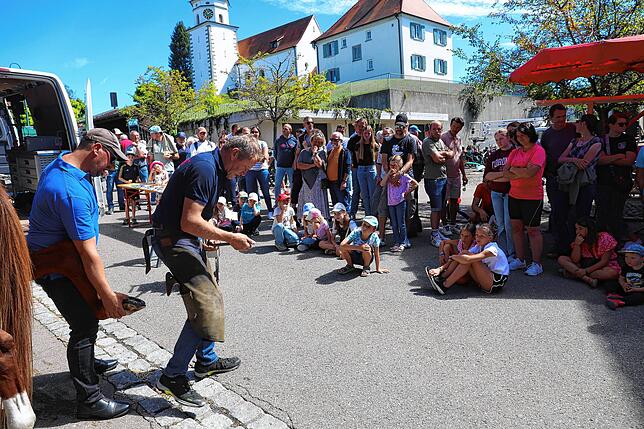Hufschmied Harald Gröner (rechts) demonstrierte gemeinsam mit Stefan Jäger (links), wie Pferde neu beschlagen werden. Viele Neugierige ...