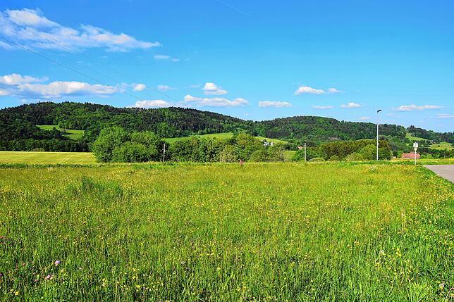 Viele Menschen wünschen sich einen Anblick der Berghöhen ohne Windkraftanlagen – wie hier beim Rickenbacher Ortsteil Hottingen.