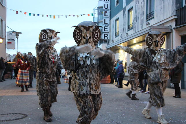 Bild 3: Narren und Musikanten begleiten den Narrenbaum. So war der Auftakt des ANR-Ringtreffens in Friedrichshafen