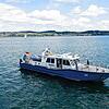 Bild :