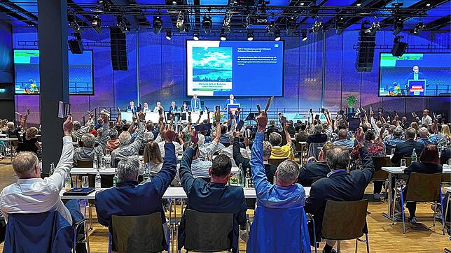 Alle Hände oben: Die Vertreterversammlung der Volksbank Konstanz votiert einstimmig für die Fusion mit Bodensee-Oberschwaben.