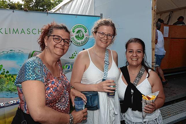 Bild 8: Hohentwiel-Festival mit der Spider Murphy Gang - Bilderstory Teil 1