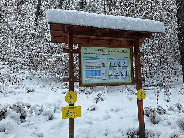 Viel Schnee im Horheimer Wald.