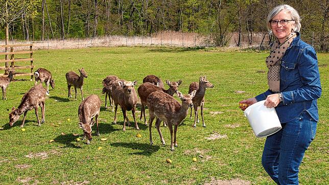 Martina Schleith hofft, dass sie bald den Wild- und Freizeitpark Allensbach wieder öffnen kann. Auch die Sikahirsche warten schon auf ...