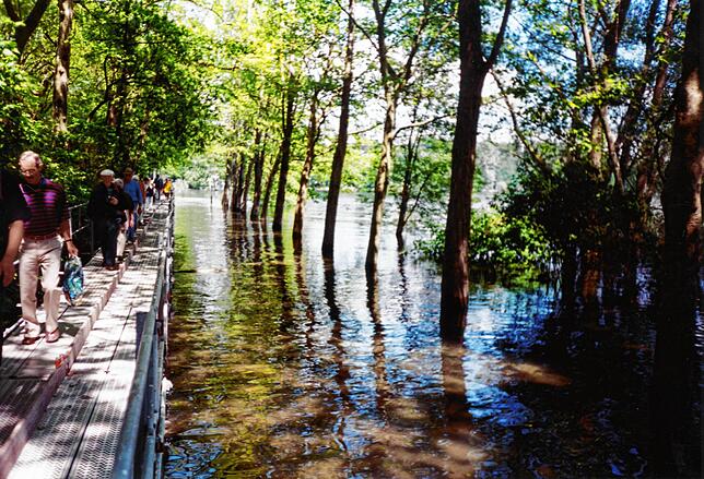 Bild 27: Hochwasser am Bodensee 1999: Diese Leserbilder zeigen das Ausmaß in Konstanz