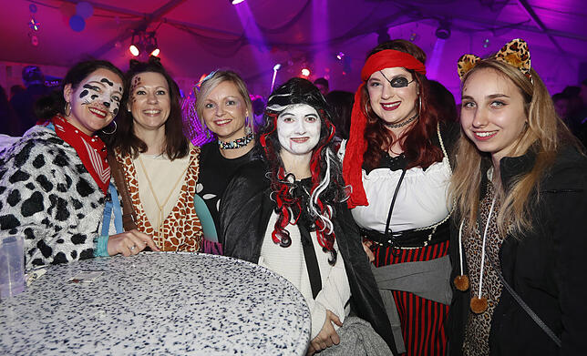 Bild 17: Bilder des Narrentreffens in Donaueschingen Pfohren (1)