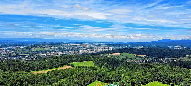 Blick auf Lörrach.