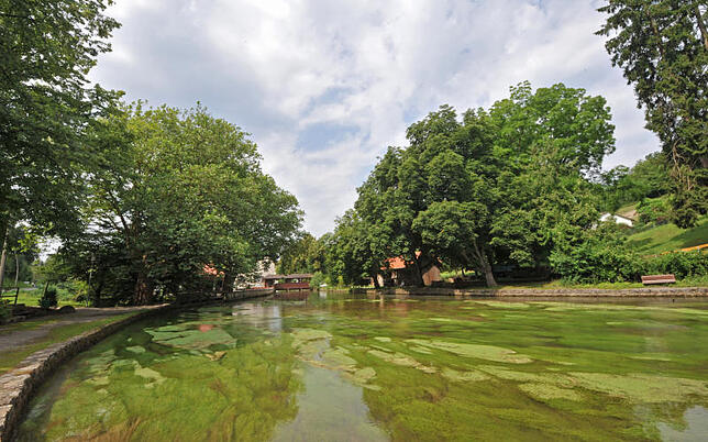 Zugang zur Unterwasserwelt: Die Aachquelle in Aach im Hegau. Hier geht es steil hinab in das Ganggewirr der Aachhöhle, die ihr Wasser ...