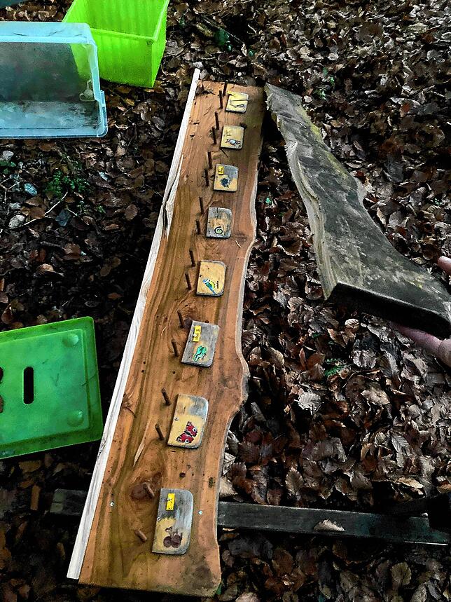 Die heruntergerissene Garderobe liegt auf dem Waldboden. Der Vater eines Kindergartenkindes hatte die Holzgarderobe vor etwa zwei Jahren ...