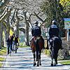 Im April und Mai waren berittene Polizisten häufig am Seeufer unterwegs um die Einhaltung der Corona-Regeln zu kontrollieren.
