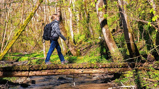 Fruhling im Krebsbachtal.