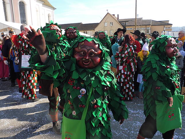 Bild 19: Fasnet-Sunntig-Umzug 2025 in Hilzingen: Farbenfrohes Treiben