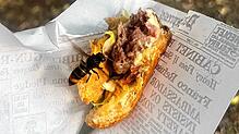 Die Asiatische Hornisse interessiert sich für das Fleisch aus der Rhybar Buvette im Rheinfelder Stadtpark.
