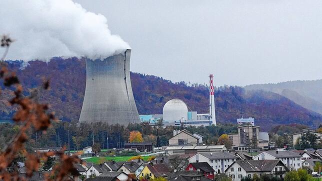 Mehr Strom produziert hat das Schweizer Kernkraftwerk Leibstadt nach Unternehmensangaben im Geschäftsjahr 2020. Im Vordergrund zu sehen ...