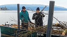 Mit ihren Booten bringen Mitglieder des Angelsportvereins – hier Kay Drechsler und Peter Boos – das Gehölz zum Fischreiser.