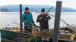 Mit ihren Booten bringen Mitglieder des Angelsportvereins – hier Kay Drechsler und Peter Boos – das Gehölz zum Fischreiser.