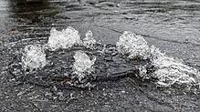Bild : Hochwasser allein reicht nicht: Feuerwehr muss zu Ölwehreinsatz im alten Mooser Hafen