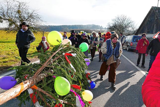 Bild 11: In Wittenhofen, Roggenbeuren und Limpach wird der Narrenbaum aufgestellt – Teil 2!