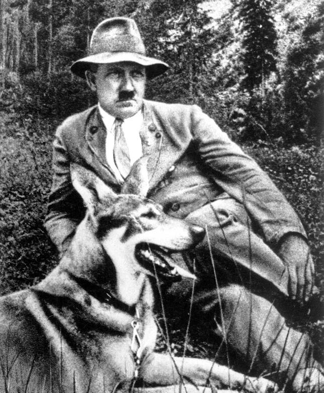 Gehorsam, Treue, Ausdauer: Der Deutsche Schäferhund hatte es dem Führer angetan.