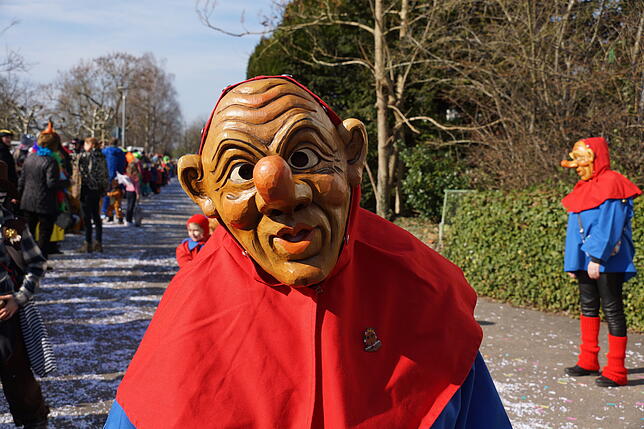 Bild 33: 43. Küssaberger Narrentreffen: Märchenhafte Fasnacht in Rheinheim