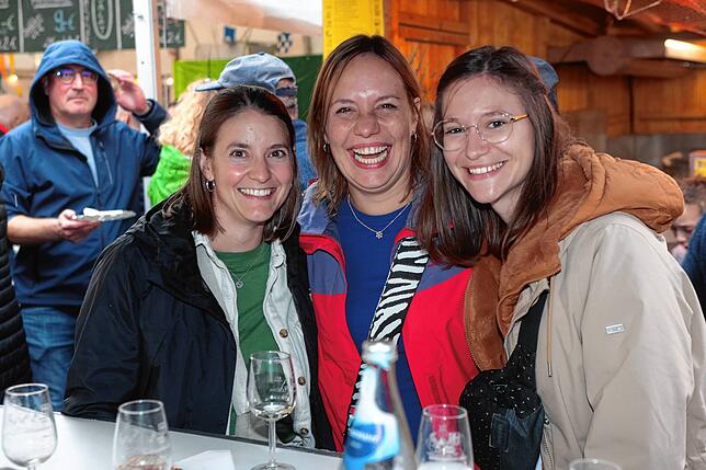 Bild 17: Weinfest 2025 auf der Insel Reichenau: Am zweiten Festtag geht es rund
