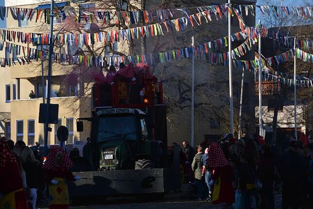 Bild 12: Bilder vom Narrentreffen der Urviecher-Zunft Bad Dürrheim: Großer Festumzug (4)