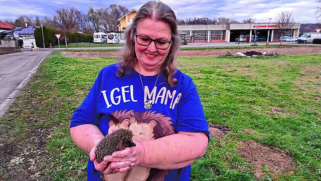Helga Weißkopf ist die Igel-Mama – daran soll sich auch nichts ändern, wenn sie nicht mehr mit dem Tierschutzverein Markdorf ...