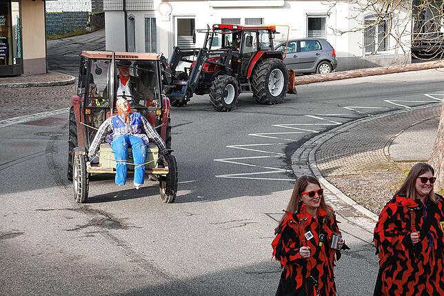 Bild 21: Hier sind die besten Bilder vom Narrenbaumstellen in Görwihl