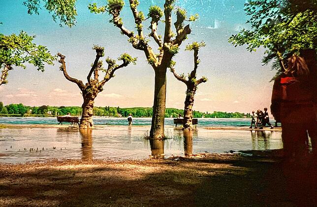 Bild 37: Hochwasser am Bodensee 1999: Diese Leserbilder zeigen das Ausmaß in Konstanz