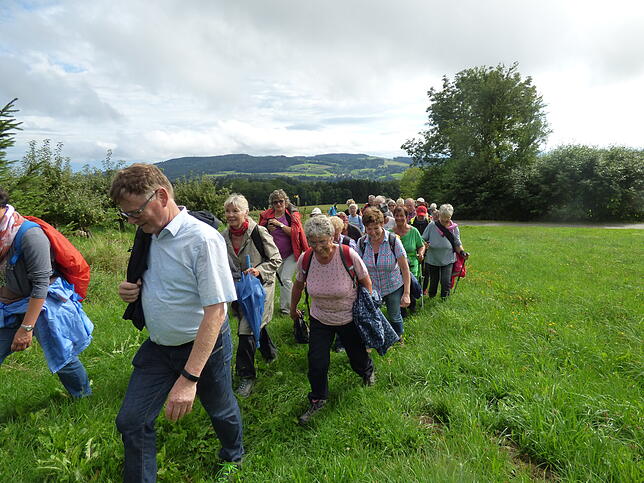 Bild 11: SÜDKURIER-Wanderung: Leser entdecken die Region rund um Limpach