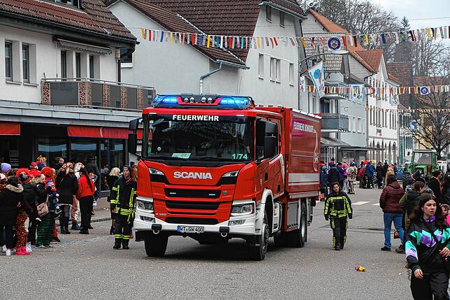 Bild 34: Tierisch was los beim Umzug am Fasnetsmendig: Teil 2