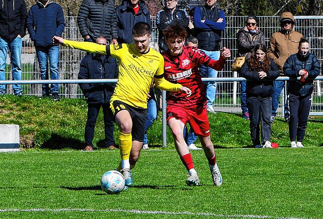 Bild 34: SV Denkingen besiegt FV Walbertsweiler-Rengetsweiler 3:1. Wir waren mit der Kamera dabei!