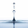 Das Thema Wasser wird auch in Wutach bedeutsamer.